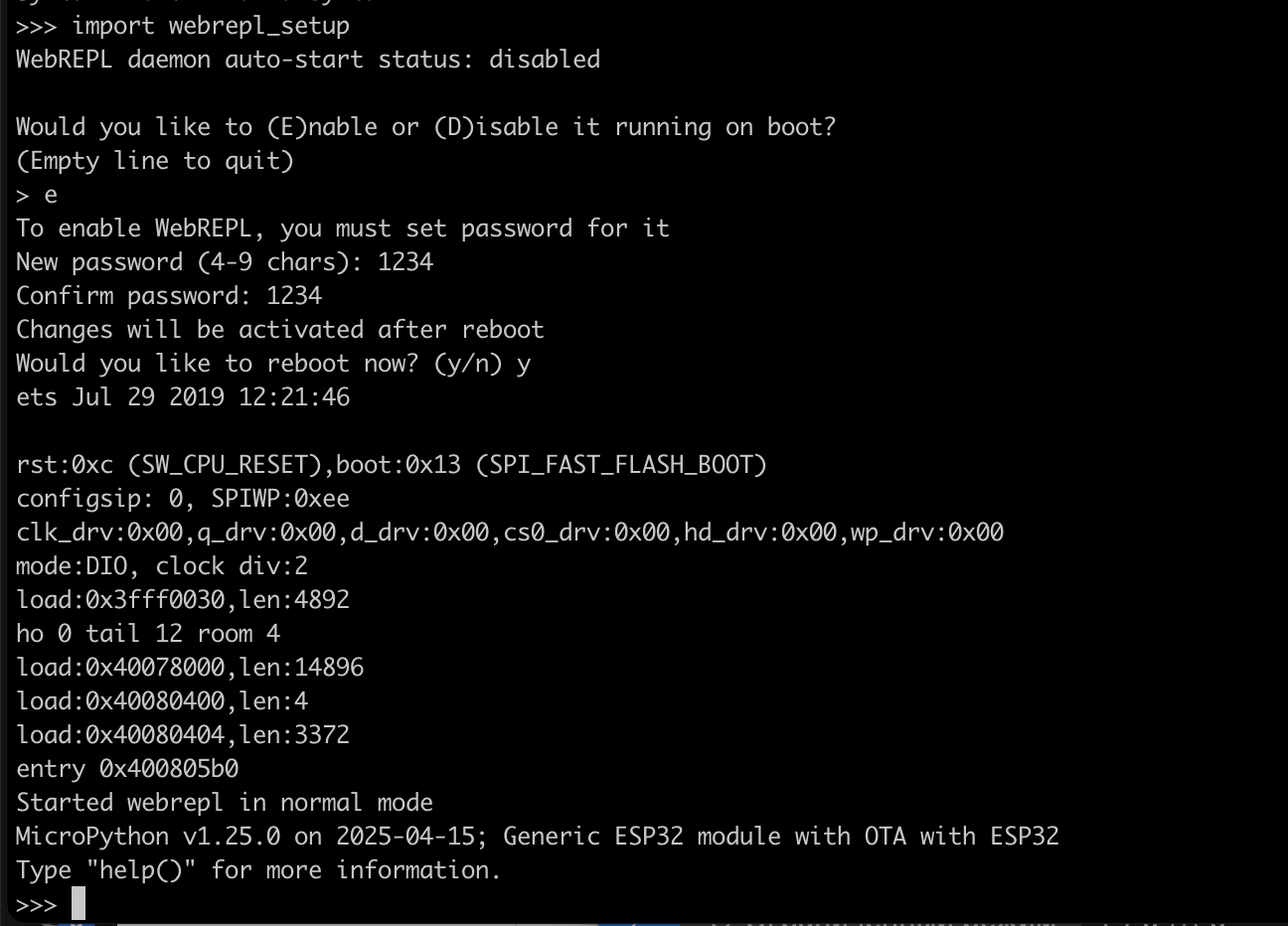Включение веб-доступа к микроконтроллеру и вход в REPL